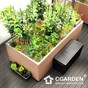 Modular Vegetable Garden - CGARDEN