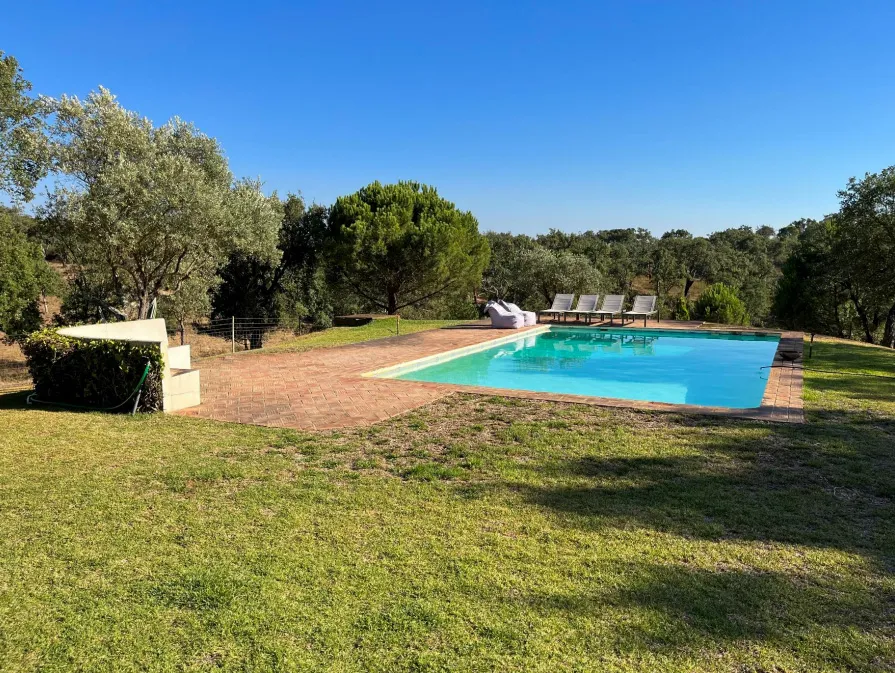 Piscine entourée d'un dallage ancien en briques, au milieu d'un jardin d'oliviers.
