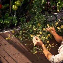 Potager urbain CGARDEN sur terrasse