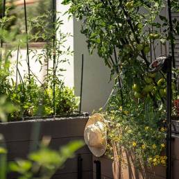 Potager urbain CGARDEN sur terrasse