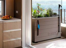 CGARDEN Urban urban garden on a kitchen balcony