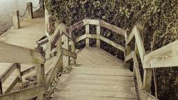 Natural wood outdoor flooring